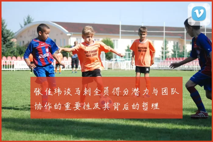 张佳玮谈马刺全员得分潜力与团队协作的重要性及其背后的哲理
